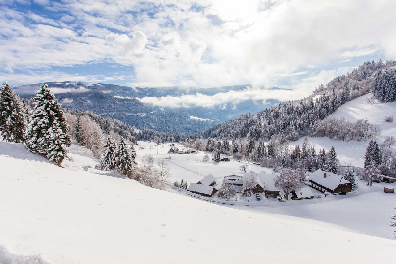 Bodnerhof Villa Arriach Buitenkant foto